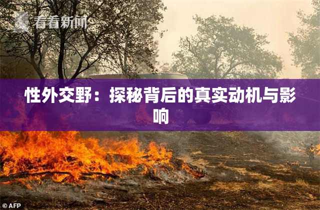 性外交野：探秘背后的真实动机与影响