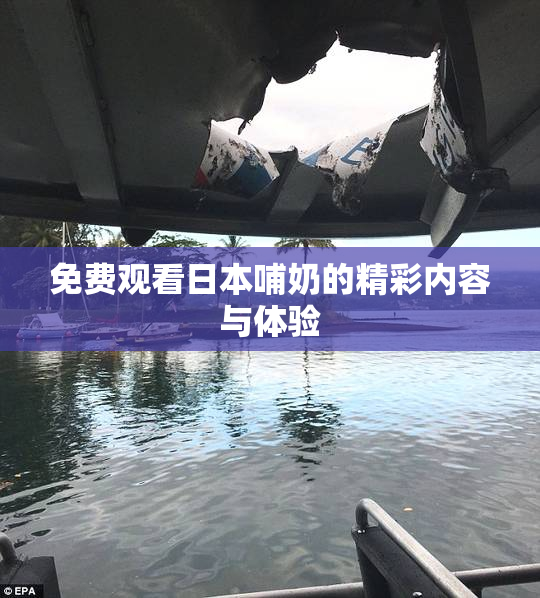 免费观看日本哺奶的精彩内容与体验