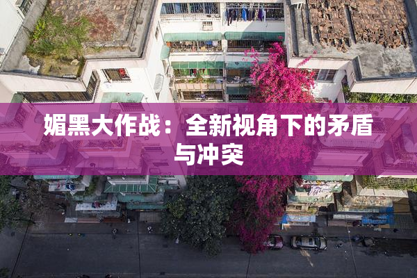 媚黑大作战：全新视角下的矛盾与冲突
