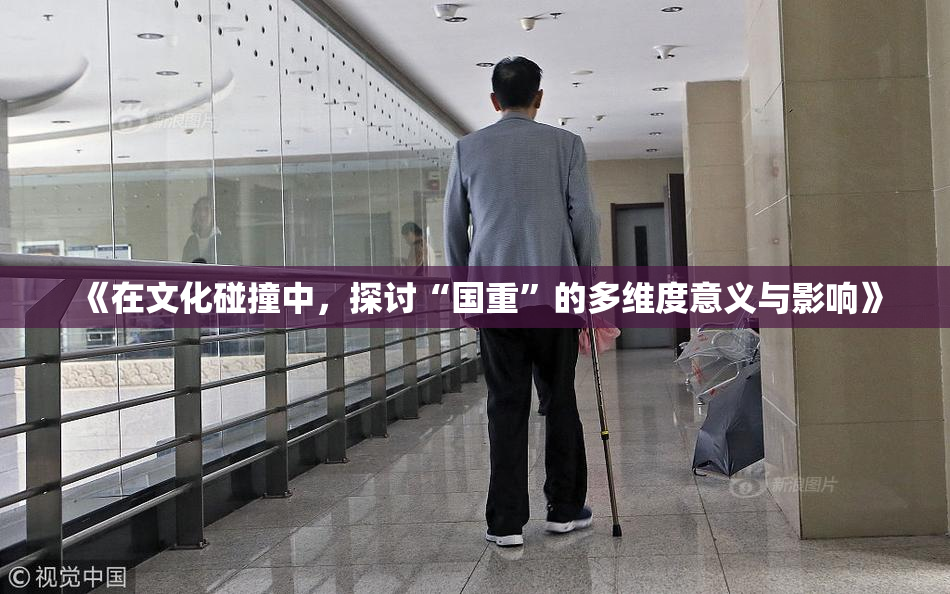 《在文化碰撞中，探讨“国重”的多维度意义与影响》