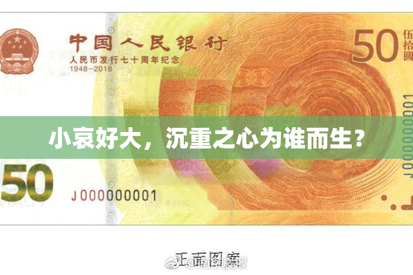 小哀好大，沉重之心为谁而生？