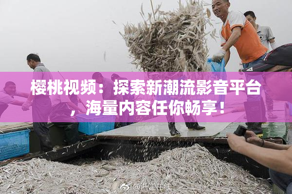樱桃视频：探索新潮流影音平台，海量内容任你畅享！