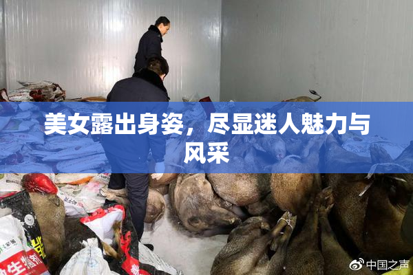 美女露出身姿，尽显迷人魅力与风采