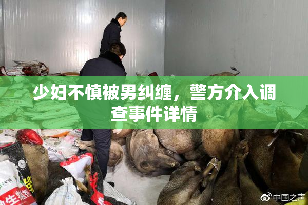 少妇不慎被男纠缠，警方介入调查事件详情