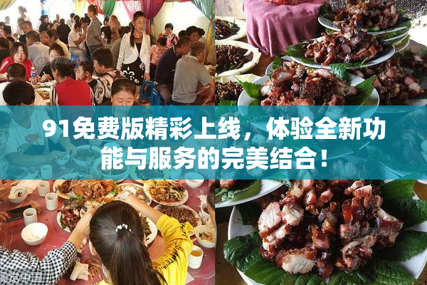 91免费版精彩上线，体验全新功能与服务的完美结合！