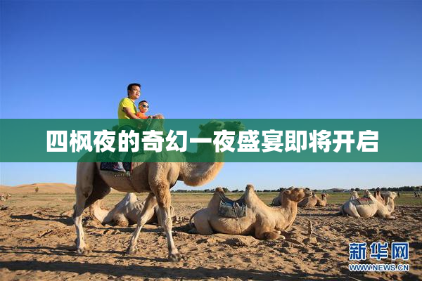四枫夜的奇幻一夜盛宴即将开启