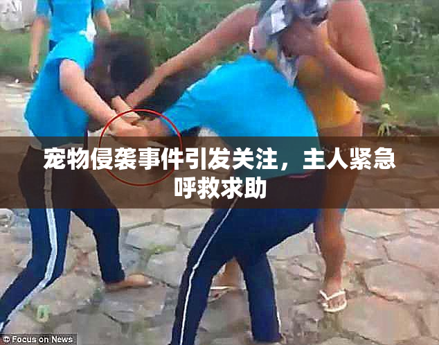 宠物侵袭事件引发关注，主人紧急呼救求助