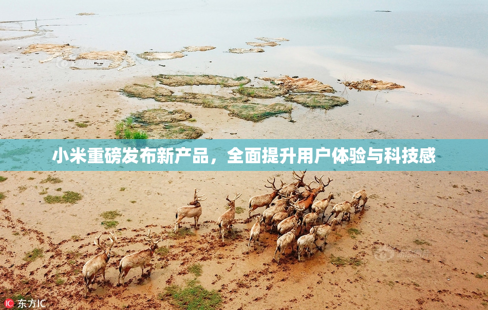 小米重磅发布新产品，全面提升用户体验与科技感