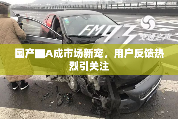 国产▇A成市场新宠，用户反馈热烈引关注