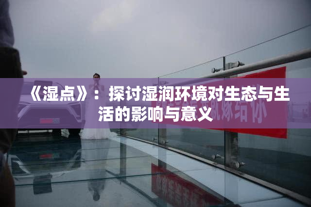 《湿点》：探讨湿润环境对生态与生活的影响与意义