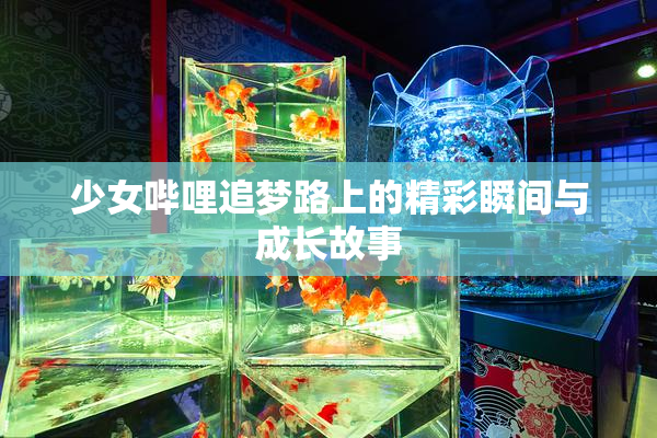 少女哔哩追梦路上的精彩瞬间与成长故事