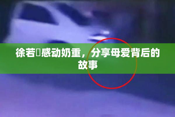 徐若瑄感动奶重，分享母爱背后的故事
