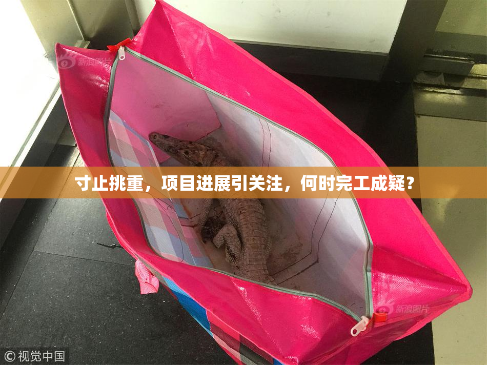 寸止挑重，项目进展引关注，何时完工成疑？