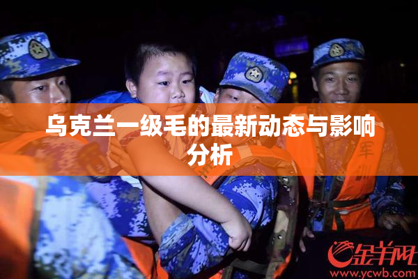 乌克兰一级毛的最新动态与影响分析