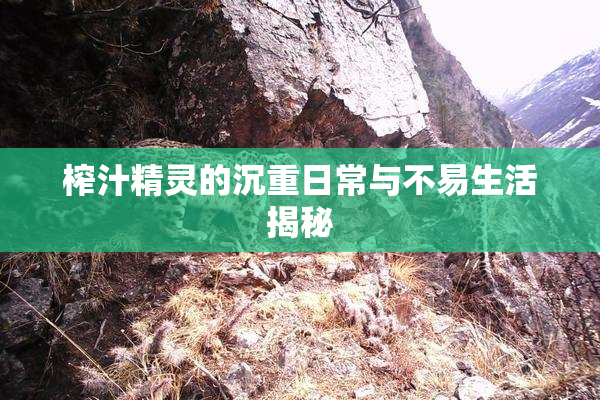 榨汁精灵的沉重日常与不易生活揭秘