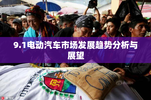 9.1电动汽车市场发展趋势分析与展望