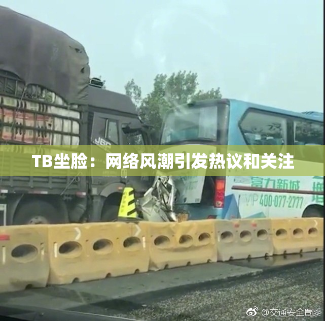 TB坐脸：网络风潮引发热议和关注