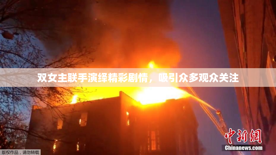 双女主联手演绎精彩剧情，吸引众多观众关注