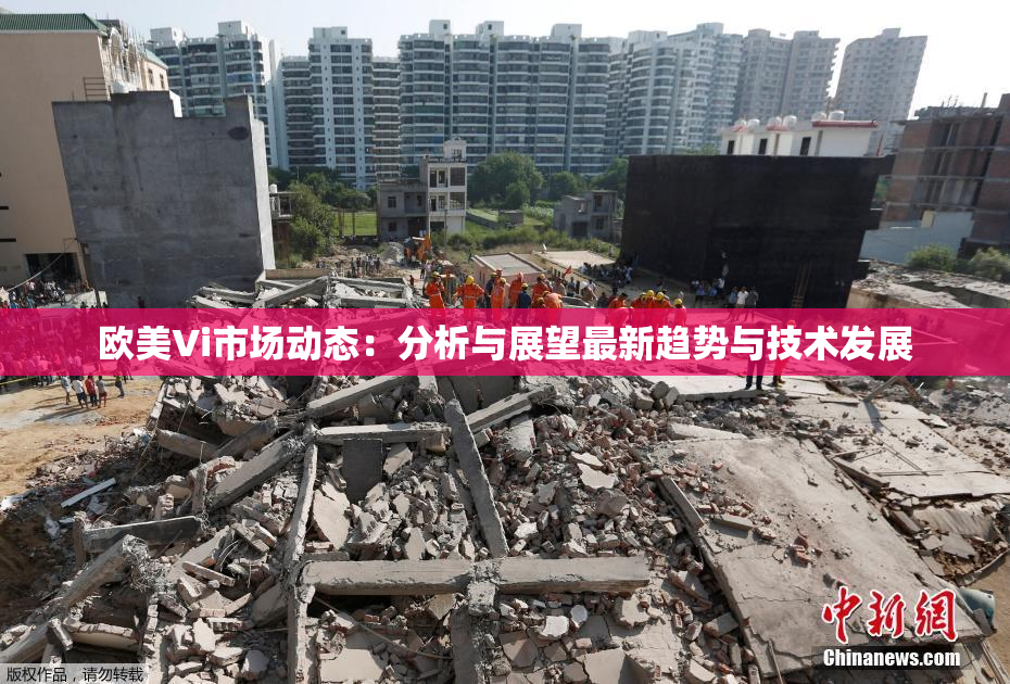 欧美Vi市场动态：分析与展望最新趋势与技术发展