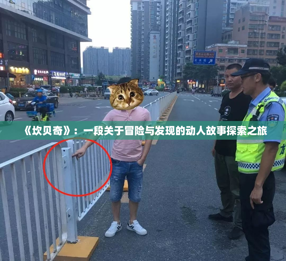 《坎贝奇》：一段关于冒险与发现的动人故事探索之旅