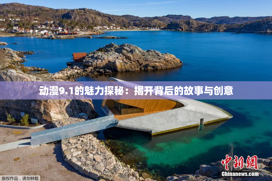动漫9.1的魅力探秘：揭开背后的故事与创意