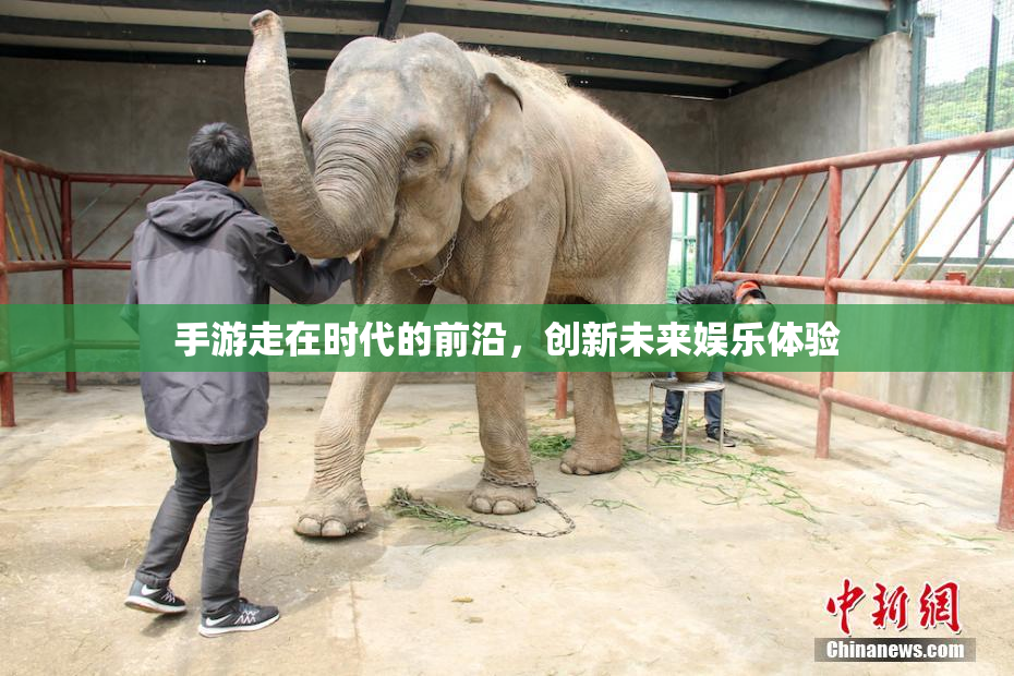手游走在时代的前沿，创新未来娱乐体验