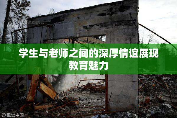 学生与老师之间的深厚情谊展现教育魅力