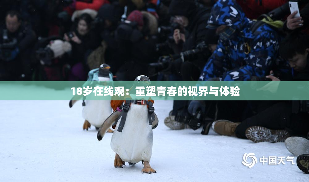 18岁在线观：重塑青春的视界与体验