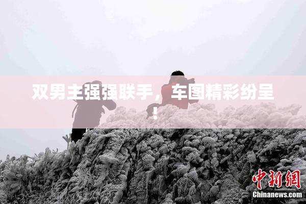 双男主强强联手，车图精彩纷呈！