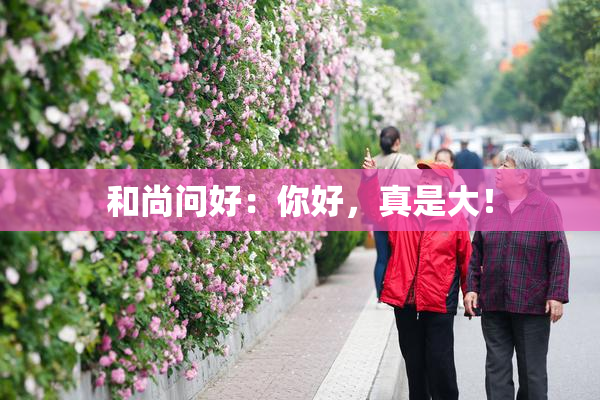 和尚问好：你好，真是大！