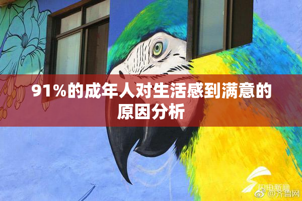 91%的成年人对生活感到满意的原因分析