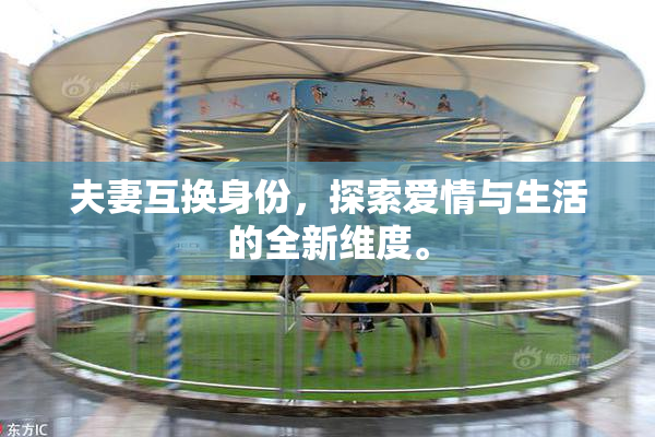 夫妻互换身份，探索爱情与生活的全新维度。
