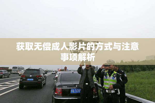 获取无偿成人影片的方式与注意事项解析