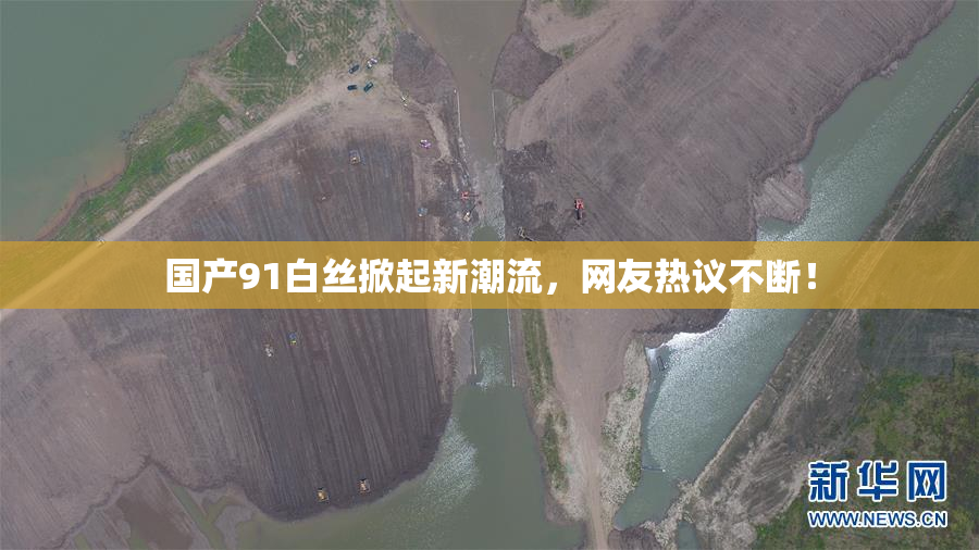 国产91白丝掀起新潮流，网友热议不断！