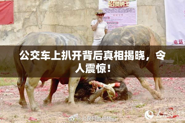 公交车上扒开背后真相揭晓，令人震惊！