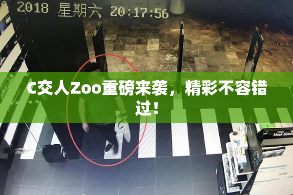 C交人Zoo重磅来袭，精彩不容错过！