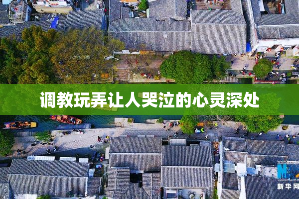 调教玩弄让人哭泣的心灵深处