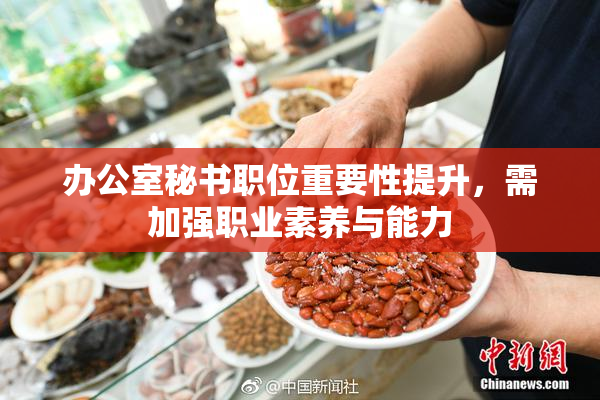 办公室秘书职位重要性提升，需加强职业素养与能力