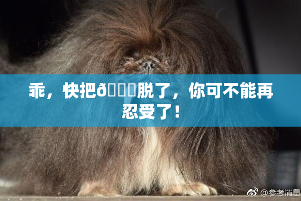 乖，快把👙脱了，你可不能再忍受了！