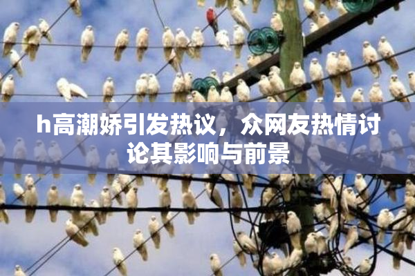h高潮娇引发热议，众网友热情讨论其影响与前景