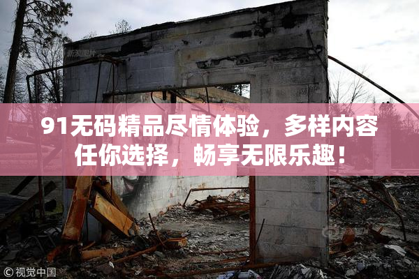 91无码精品尽情体验，多样内容任你选择，畅享无限乐趣！
