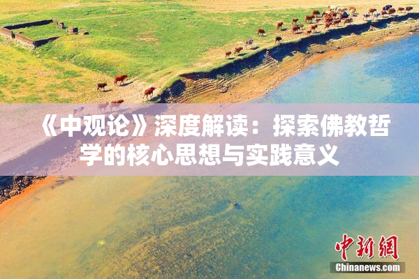 《中观论》深度解读：探索佛教哲学的核心思想与实践意义