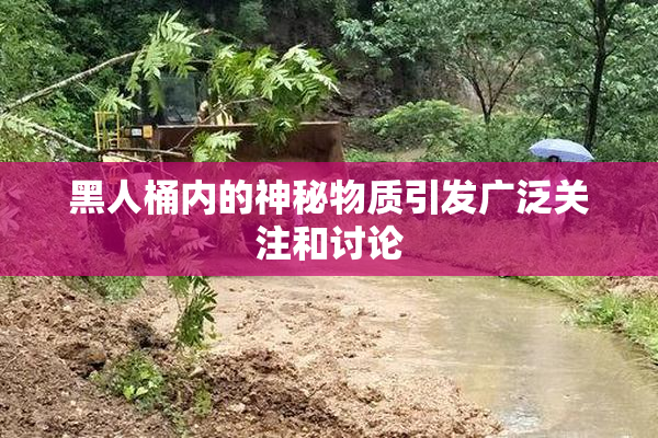 黑人桶内的神秘物质引发广泛关注和讨论