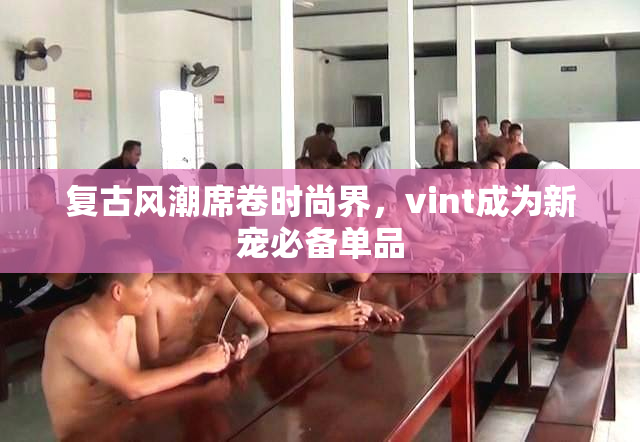 复古风潮席卷时尚界，vint成为新宠必备单品