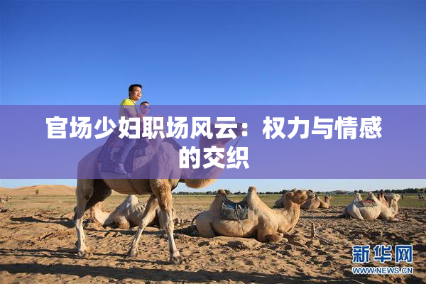 官场少妇职场风云：权力与情感的交织