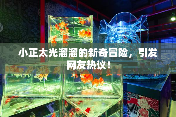 小正太光溜溜的新奇冒险，引发网友热议！