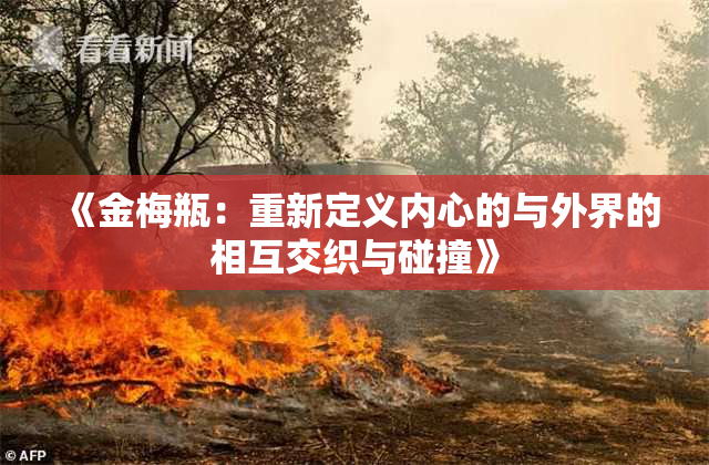 《金梅瓶：重新定义内心的与外界的相互交织与碰撞》