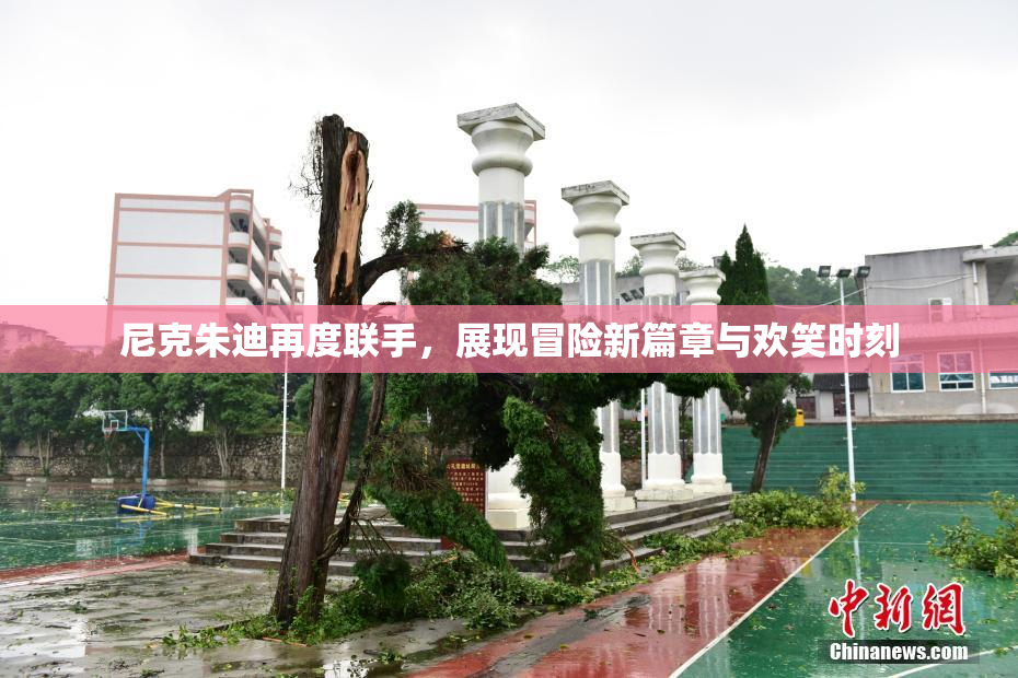 尼克朱迪再度联手，展现冒险新篇章与欢笑时刻