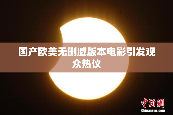 国产欧美无删减版本电影引发观众热议