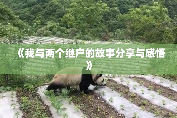 《我与两个继户的故事分享与感悟》